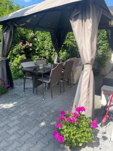 Vonkajšia záhrada v ubytovaní Alia house with garden in Piešťany