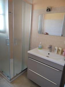 bagno con lavandino, specchio e doccia di Villa près des remparts a Régusse