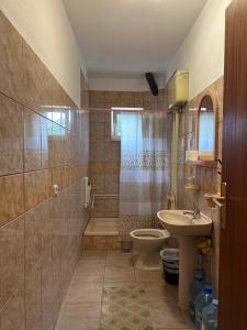 a bathroom with a sink and a toilet and a shower at Apartments Božinović in Soko Banja