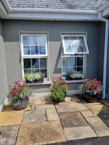 uma casa cinzenta com duas janelas e vasos de plantas em Highfield house bed and breakfast COLLINSTOWN em Collinstown