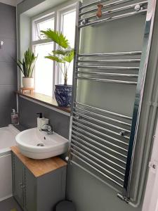 a bathroom with a sink and a glass shower at Newmarket Cosy Stay in Newmarket