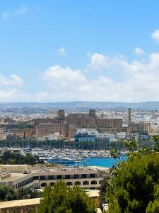 uma vista para uma cidade com um porto e barcos em L'Artist Casa Micallef em Valletta