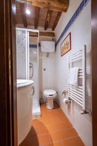 a bathroom with a toilet and a shower in it at Santa Fiora Ospitalità Diffusa - Il Nido in Santa Fiora