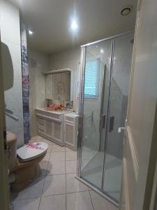 ein Bad mit einer Dusche, einem WC und einem Waschbecken in der Unterkunft Charmante Dépendance in Caussade