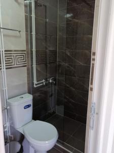 a bathroom with a toilet and a glass shower at Maya's Apartments in Kruševo