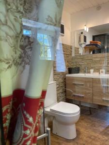 a bathroom with a toilet and a sink at Manoir de Kerliviry in Cléder +42 photos