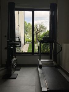 Fitness centrum a/nebo fitness zařízení v ubytování INSULA FELIX Bed&Breakfast