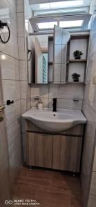 a bathroom with a sink and a mirror at Η Αρμενόπετρα in Yerolimin