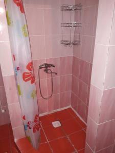 a bathroom with a shower with a red floor at Kyzart Guesthouse in Bagysh
