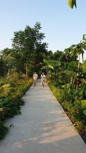 a group of people riding bikes down a path at Tuyet's hostel in Ninh Binh