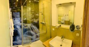 a bathroom with a shower and a sink at Apartmenthaus Florian in Lam +20 photos