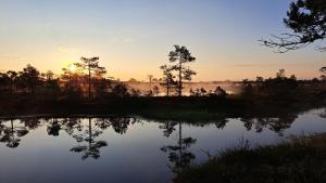 un coucher de soleil sur un étang avec des arbres en arrière-plan dans l'établissement Ohukotsu Glamping, 