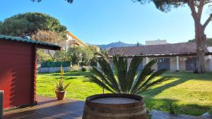 una terraza de madera con una planta en un patio en Villa Maghjo Calvi Corsica, en Calvi