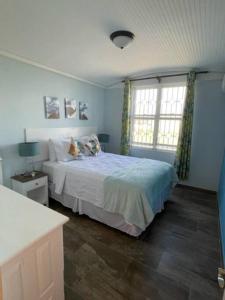 a blue bedroom with a bed and two windows at Cottage: 7 minutes from airport! in Saint Philip