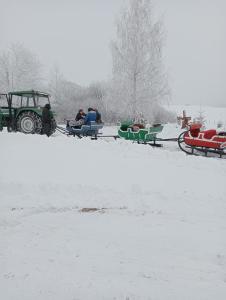 Domki na Wzgórzu - Rospuda - Domek z sauną v zime