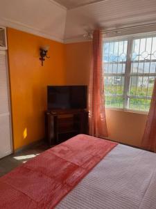 a bedroom with a bed and a tv and a window at Cottage: 7 minutes from airport! in Saint Philip