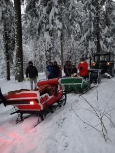 Domki na Wzgórzu - Rospuda - Domek z sauną v zime