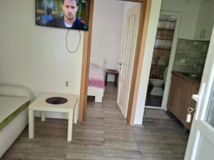 a living room with a couch and a tv on the wall at Vila Katerina Dojran in Sretenovo