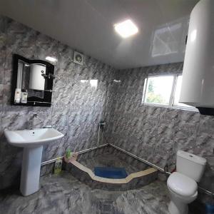 a bathroom with a sink and a toilet at Ani's Green House in Anaklia