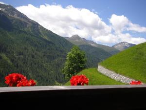 ゲストハウスから撮影された、または一般的な山の景色
