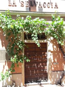 una puerta de madera con una planta en Agriturismo Le Cerbonche, en Rosignano Marittimo