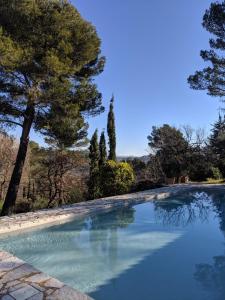a large swimming pool with trees in the background at Le Clos sous le chemin in Seillans