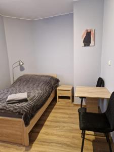um quarto com uma cama, uma secretária e uma cadeira em Apartament PRZYBUDÓWKA em Katowice