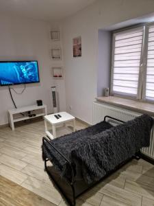 a bedroom with a bed and a flat screen tv at Apartament PRZYBUDÓWKA in Katowice