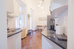 cocina con fregadero y encimera en Industrial Double Loft Apartment, en Budapest