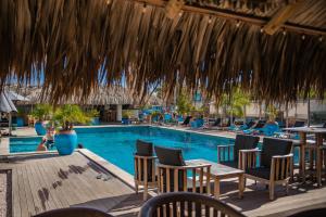 a resort with a swimming pool with chairs and a table at Bloozz resort Bonaire in Kralendijk