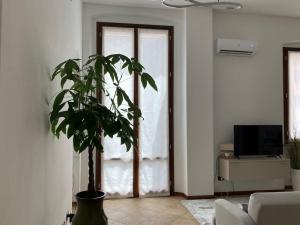 a living room with a plant in front of a door at Appartamento Dante in Cremona