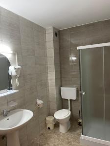 uma casa de banho com um WC, um lavatório e um chuveiro em Pensiunea Cheile Șugăului em Bicaz-Chei