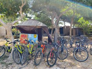 Villaggio La Roccia camping في لامبيدوسا: مجموعة من الدراجات متوقفة أمام شرفة