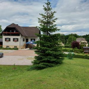 a pine tree in front of a house at house Anna in Plitvička Jezera