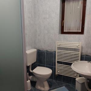 łazienka z toaletą i umywalką w obiekcie house Anna w mieście Jeziora Plitwickie