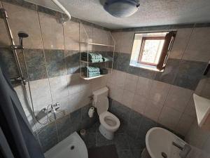 La salle de bains est pourvue de toilettes et d'un lavabo. dans l'établissement App Franci Parenzana, à Marušići