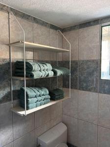 La salle de bains est pourvue de toilettes et de serviettes. dans l'établissement App Franci Parenzana, à Marušići