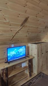 una TV a schermo piatto seduta sopra una parete di legno di Cottage Bosaca a Žabljak Altre 29 foto