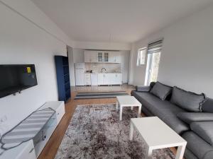 ein Wohnzimmer mit einem Sofa und einem TV in der Unterkunft Apartman Stan شقة in Plav