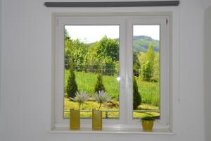 a window with a view of a garden at Apartament Ustronny in Ustroń