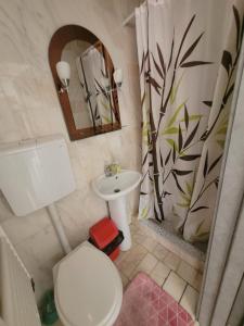 a small bathroom with a toilet and a sink at Vila Castelana in Caciulata