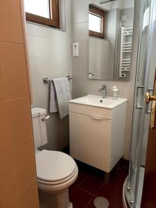 a white bathroom with a toilet and a sink at Casa das Amigas in Pinhão