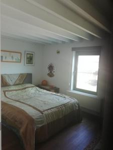 een slaapkamer met een bed en een raam bij Bvba Bacana in Rotselaar