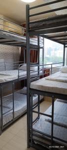 Двухъярусная кровать или двухъярусные кровати в номере Alhambra Bed & Breakfast