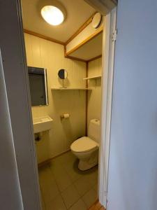 a small bathroom with a toilet and a sink at City Center Stylish Loft in Trondheim