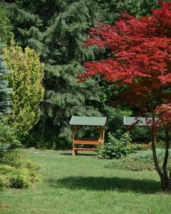 a park bench sitting in the middle of a yard at Helikon 31 Apartman Keszthely in Keszthely