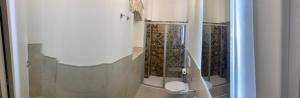 a bathroom with a shower and a toilet at Appartamento Camelia in Palo del Colle