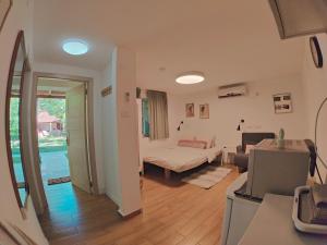 ‘En Dor的住宿－Galilee Best Location，客厅配有床和沙发