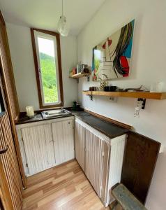 cocina con fregadero y ventana en Retreat în padure, en Buchin