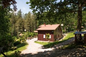 Príroda v okolí apartmánu